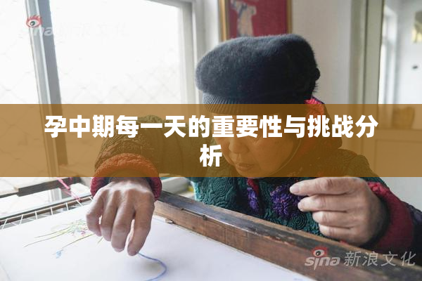 孕中期每一天的重要性与挑战分析