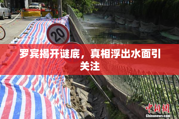 罗宾揭开谜底，真相浮出水面引关注