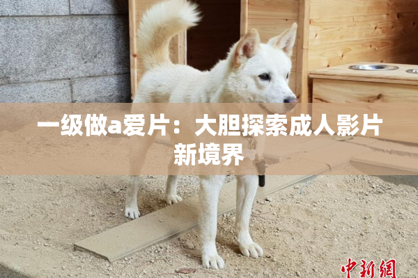 一级做a爱片：大胆探索成人影片新境界