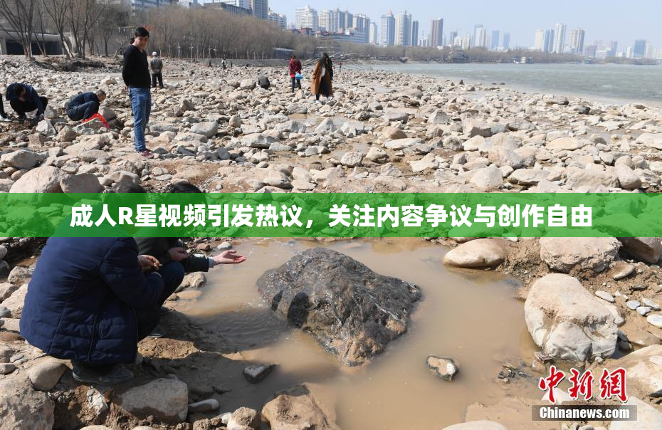 成人R星视频引发热议，关注内容争议与创作自由