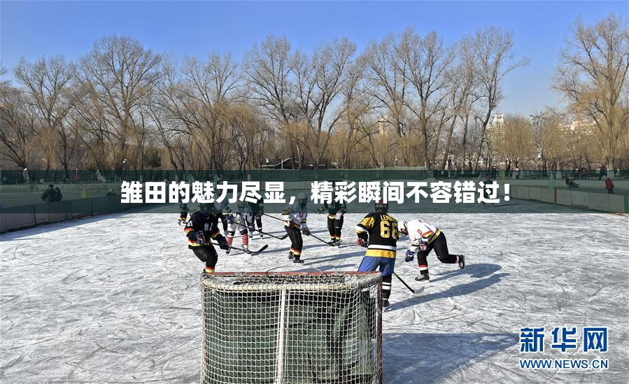 雏田的魅力尽显，精彩瞬间不容错过！