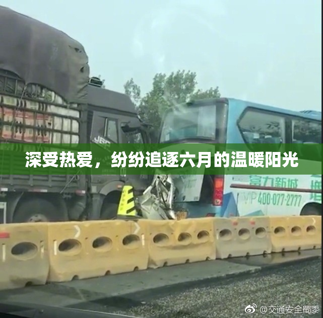 深受热爱，纷纷追逐六月的温暖阳光