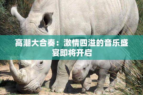 高潮大合奏：激情四溢的音乐盛宴即将开启