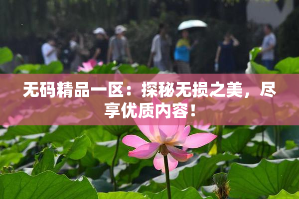 无码精品一区：探秘无损之美，尽享优质内容！
