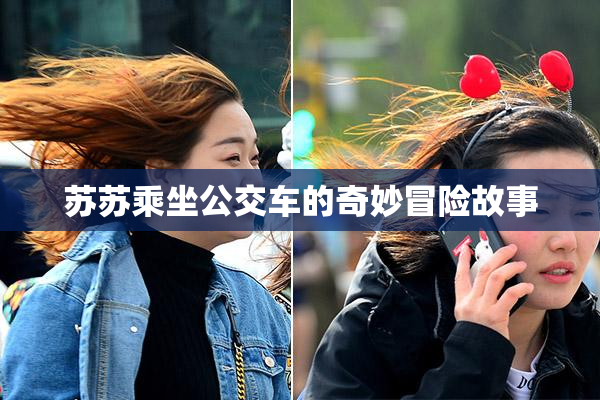 苏苏乘坐公交车的奇妙冒险故事