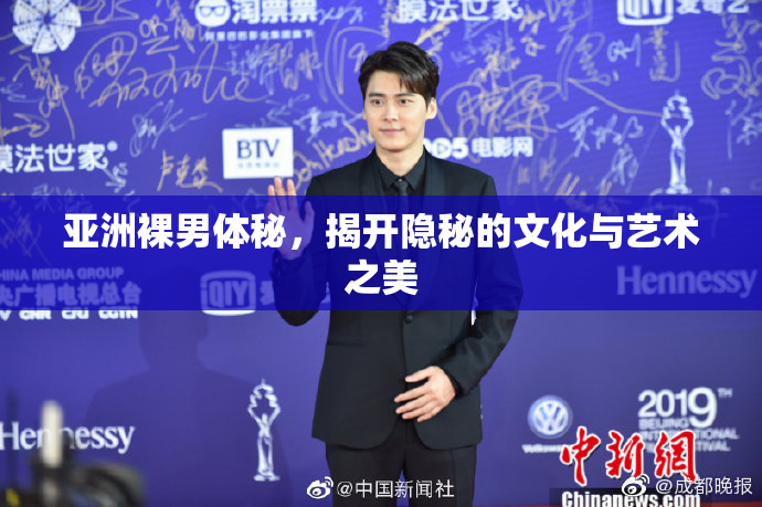 亚洲裸男体秘，揭开隐秘的文化与艺术之美