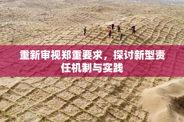 重新审视郑重要求，探讨新型责任机制与实践