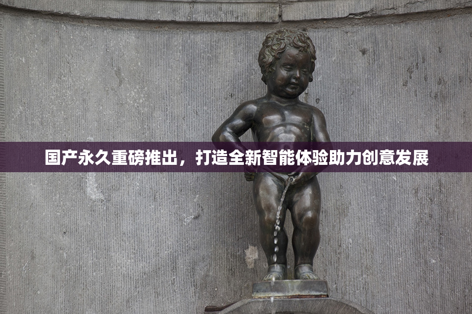 国产永久重磅推出，打造全新智能体验助力创意发展