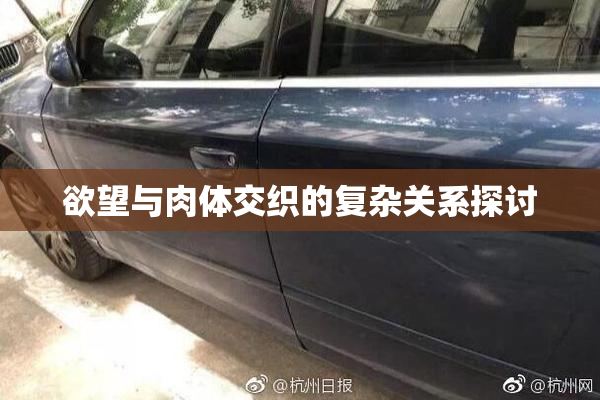 欲望与肉体交织的复杂关系探讨