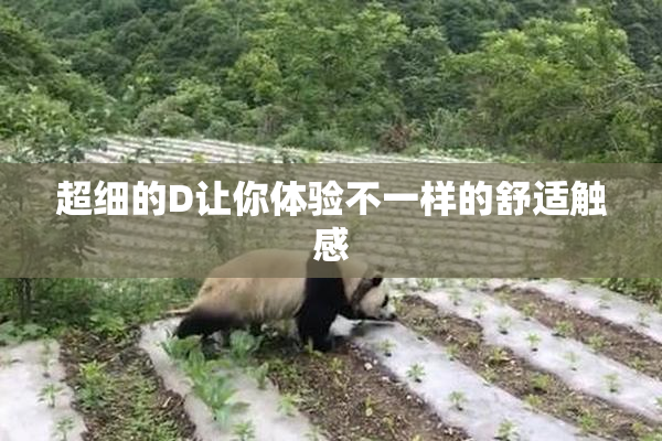 超细的D让你体验不一样的舒适触感