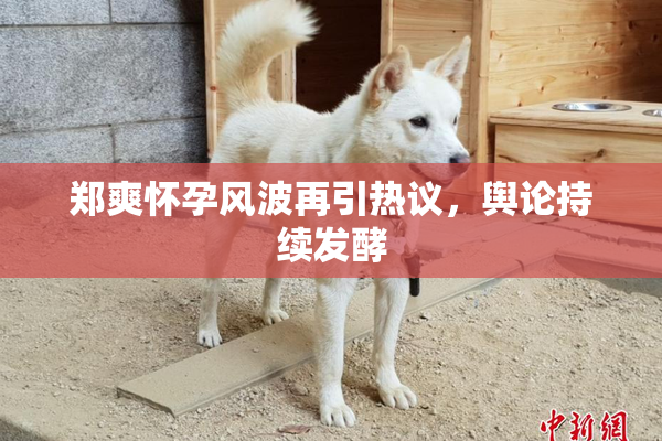 郑爽怀孕风波再引热议，舆论持续发酵