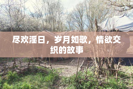 尽欢淫日，岁月如歌，情欲交织的故事