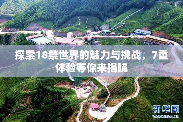 探索18禁世界的魅力与挑战，7重体验等你来揭晓