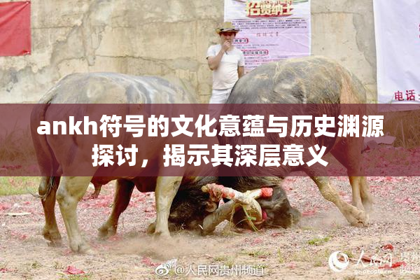 ankh符号的文化意蕴与历史渊源探讨，揭示其深层意义