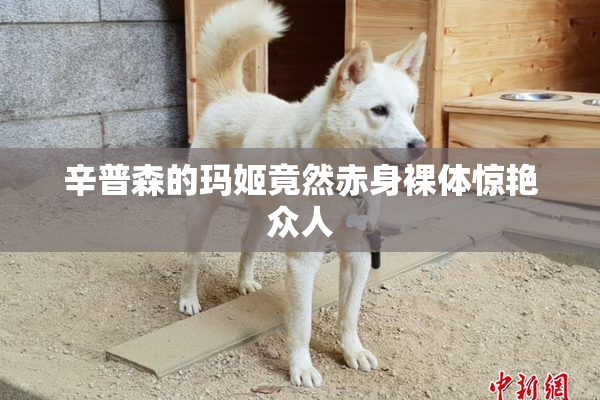辛普森的玛姬竟然赤身裸体惊艳众人