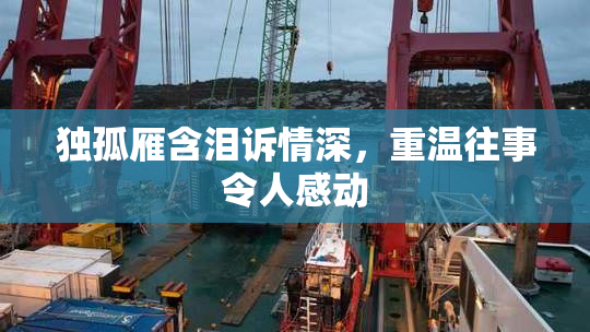 独孤雁含泪诉情深，重温往事令人感动