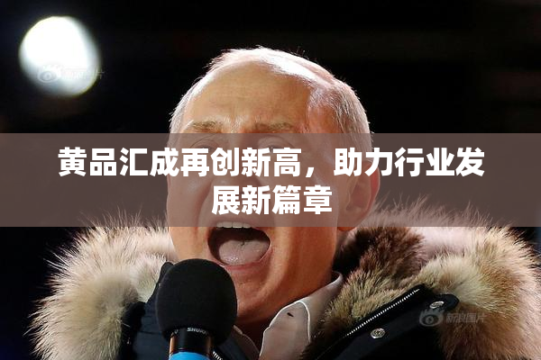 黄品汇成再创新高，助力行业发展新篇章