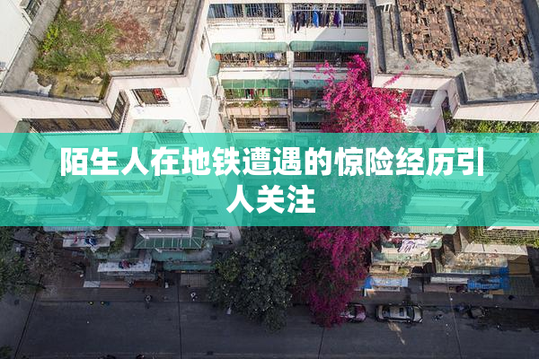 陌生人在地铁遭遇的惊险经历引人关注