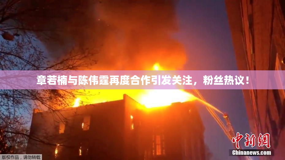 章若楠与陈伟霆再度合作引发关注，粉丝热议！