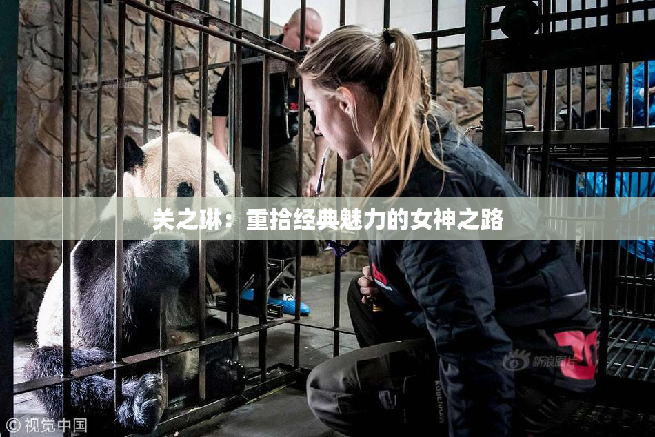 关之琳：重拾经典魅力的女神之路