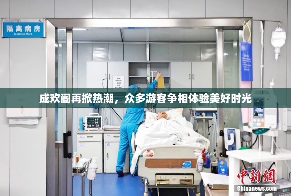 成欢阁再掀热潮，众多游客争相体验美好时光