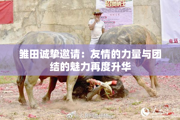 雏田诚挚邀请：友情的力量与团结的魅力再度升华