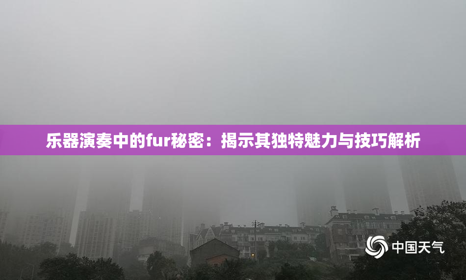 乐器演奏中的fur秘密：揭示其独特魅力与技巧解析