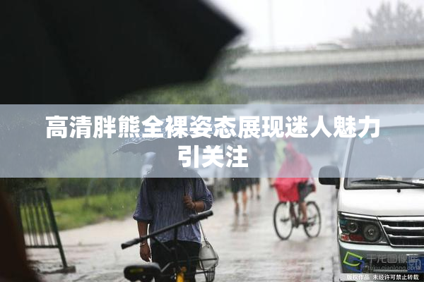 高清胖熊全裸姿态展现迷人魅力引关注