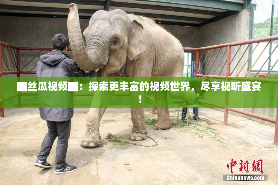▇丝瓜视频▇：探索更丰富的视频世界，尽享视听盛宴！