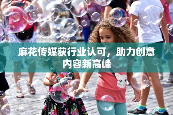 麻花传媒获行业认可，助力创意内容新高峰