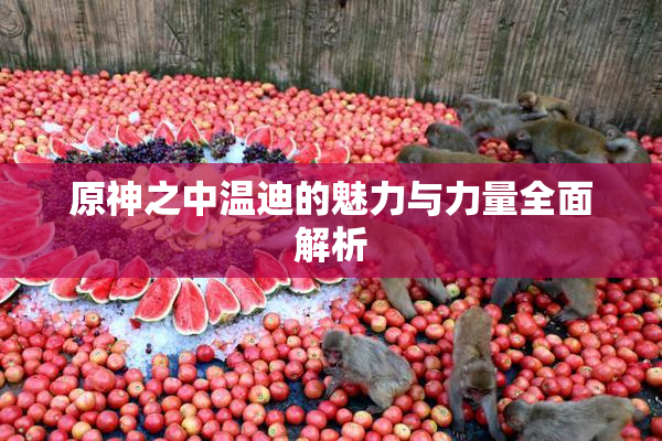 原神之中温迪的魅力与力量全面解析