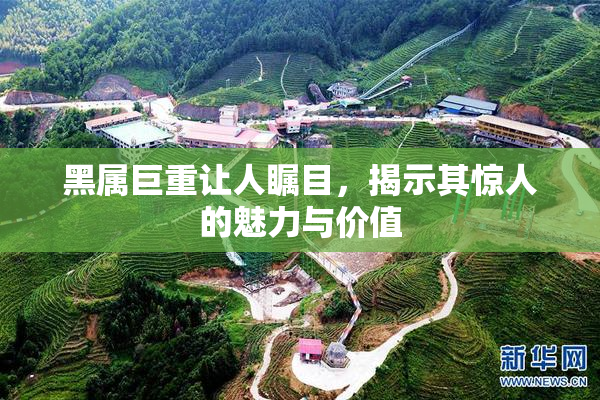 黑属巨重让人瞩目，揭示其惊人的魅力与价值