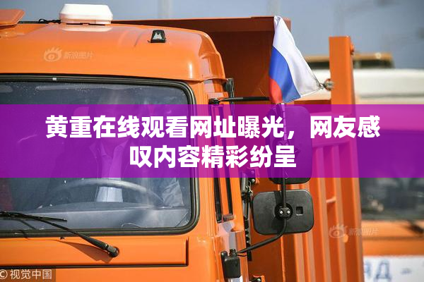 黄重在线观看网址曝光，网友感叹内容精彩纷呈