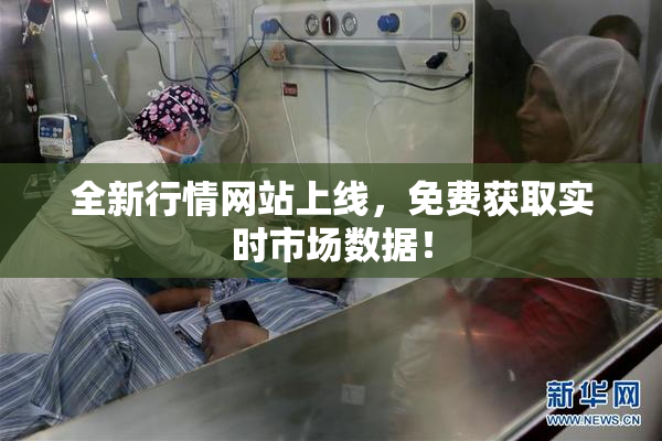 全新行情网站上线，免费获取实时市场数据！