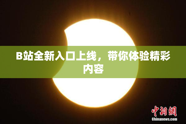 B站全新入口上线，带你体验精彩内容