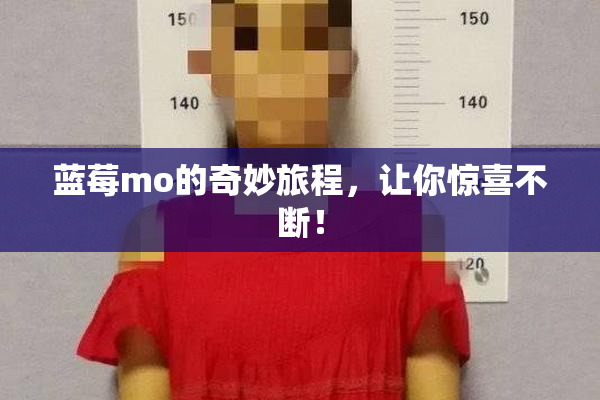 蓝莓mo的奇妙旅程，让你惊喜不断！