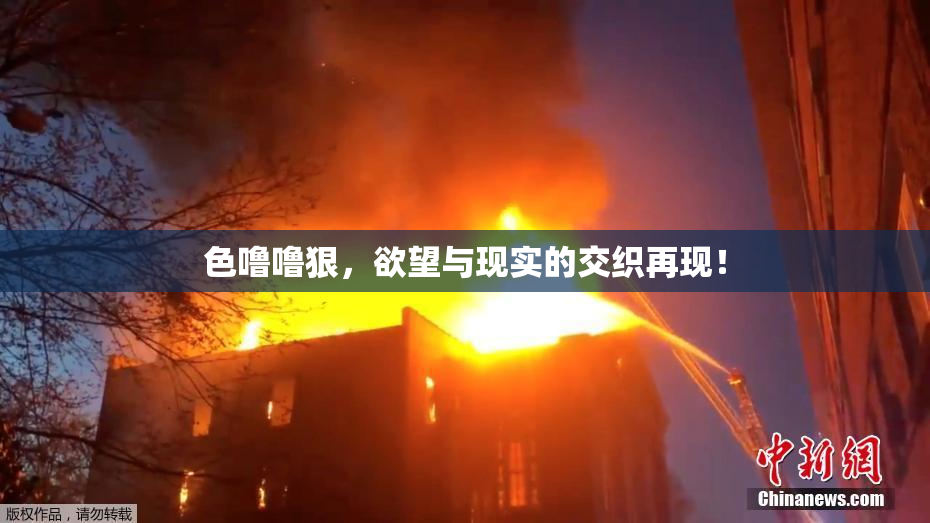 色噜噜狠，欲望与现实的交织再现！