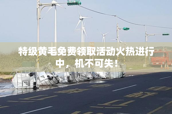 特级黄毛免费领取活动火热进行中，机不可失！