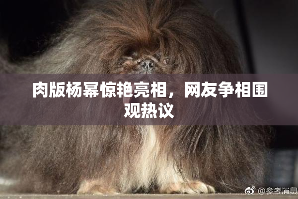 肉版杨幂惊艳亮相，网友争相围观热议