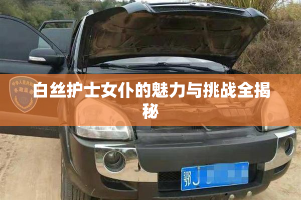 白丝护士女仆的魅力与挑战全揭秘