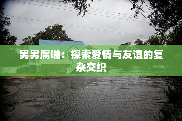 男男腐啪：探索爱情与友谊的复杂交织