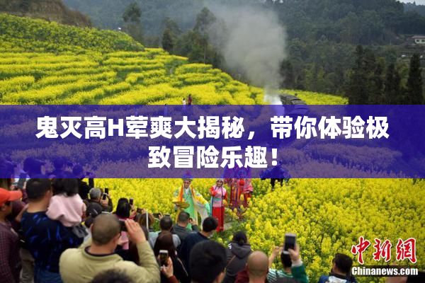 鬼灭高H荤爽大揭秘，带你体验极致冒险乐趣！