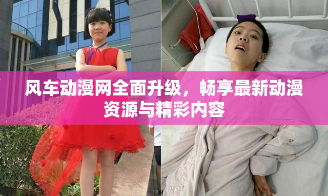 风车动漫网全面升级，畅享最新动漫资源与精彩内容