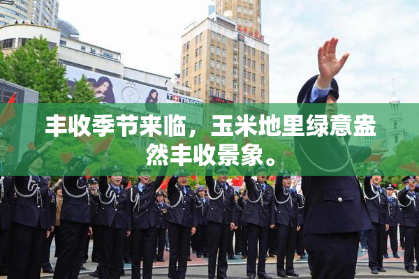 丰收季节来临，玉米地里绿意盎然丰收景象。