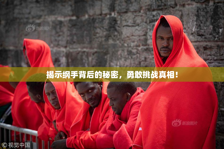 揭示纲手背后的秘密，勇敢挑战真相！
