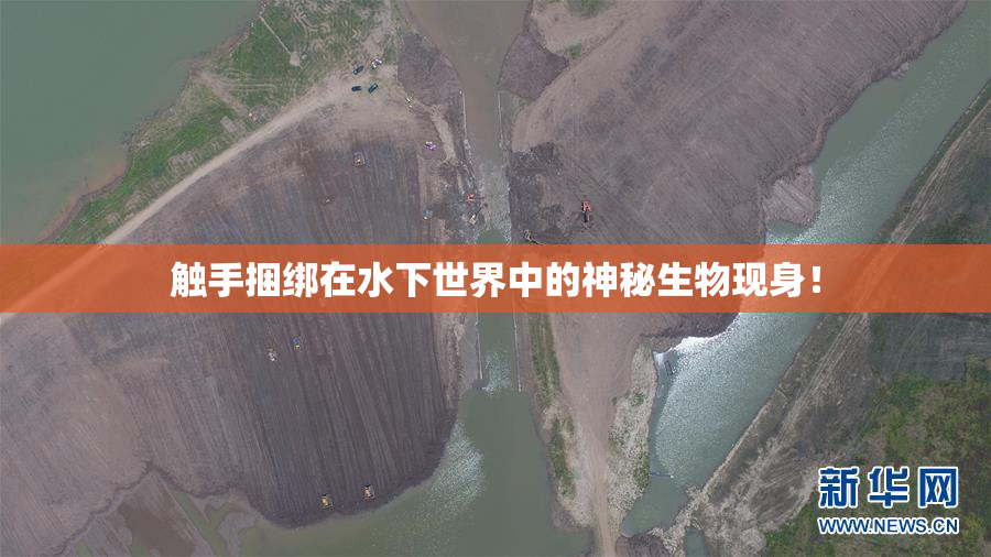 触手捆绑在水下世界中的神秘生物现身！