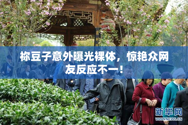 祢豆子意外曝光裸体，惊艳众网友反应不一！