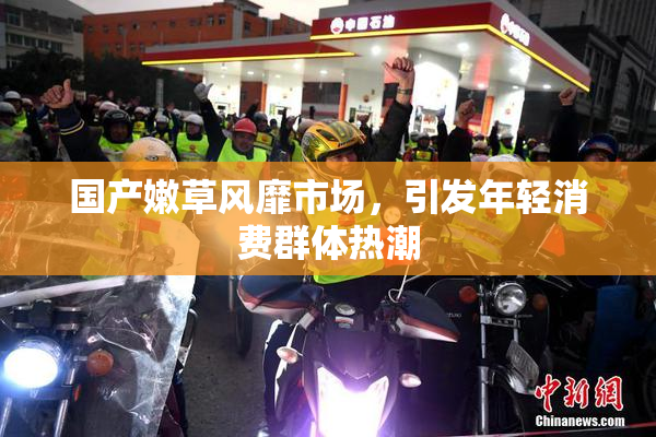 国产嫩草风靡市场，引发年轻消费群体热潮