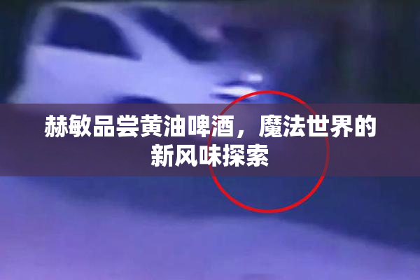 赫敏品尝黄油啤酒，魔法世界的新风味探索