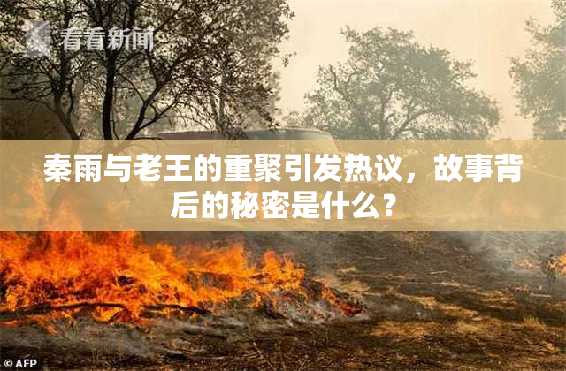 秦雨与老王的重聚引发热议，故事背后的秘密是什么？